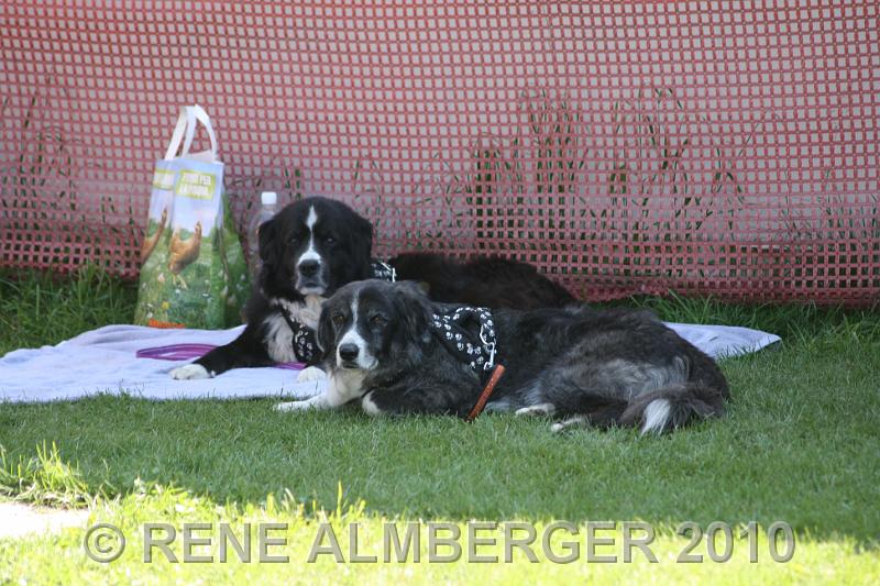 Bild 805.jpg
